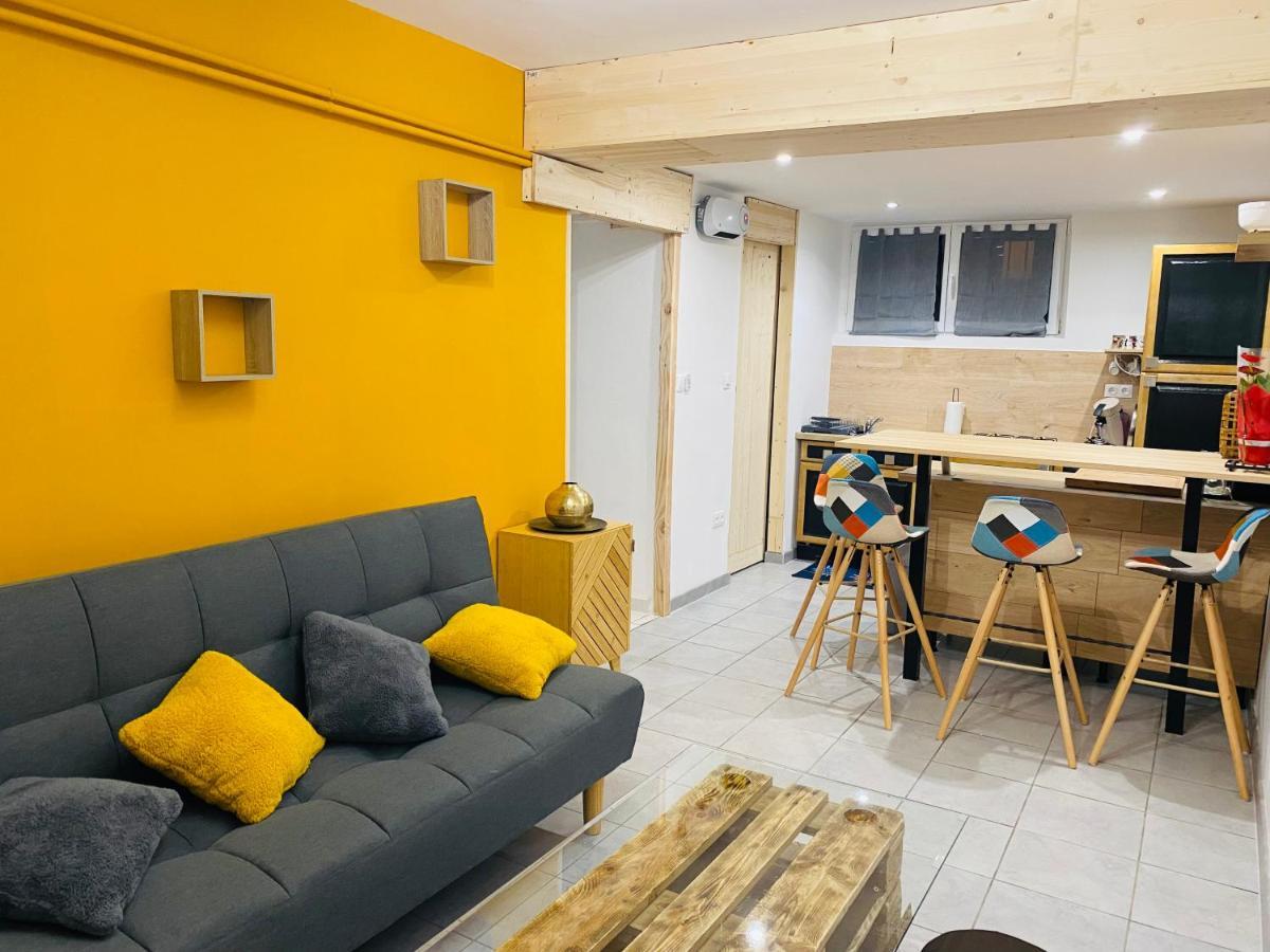 Studio 40M2 Plein Pied Avec Parking Jussac ภายนอก รูปภาพ