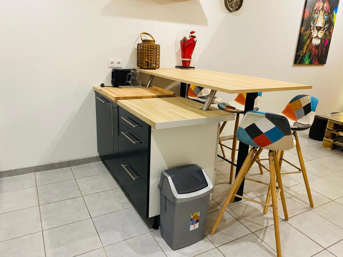 Studio 40M2 Plein Pied Avec Parking Jussac ภายนอก รูปภาพ
