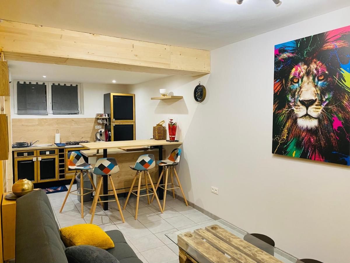 Studio 40M2 Plein Pied Avec Parking Jussac ภายนอก รูปภาพ